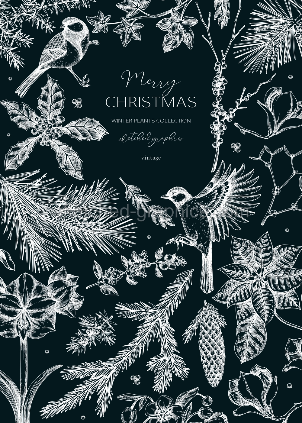 Christmas card design. Winter plants vintage frame. Conifer trees, winter flowers, birds sketches on chalkboard. Hand drawn vector illustration. NOT AI generated Illustration